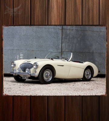 Металлическая табличка Austin Healey 100 (BN2)